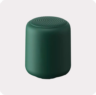 Enceinte